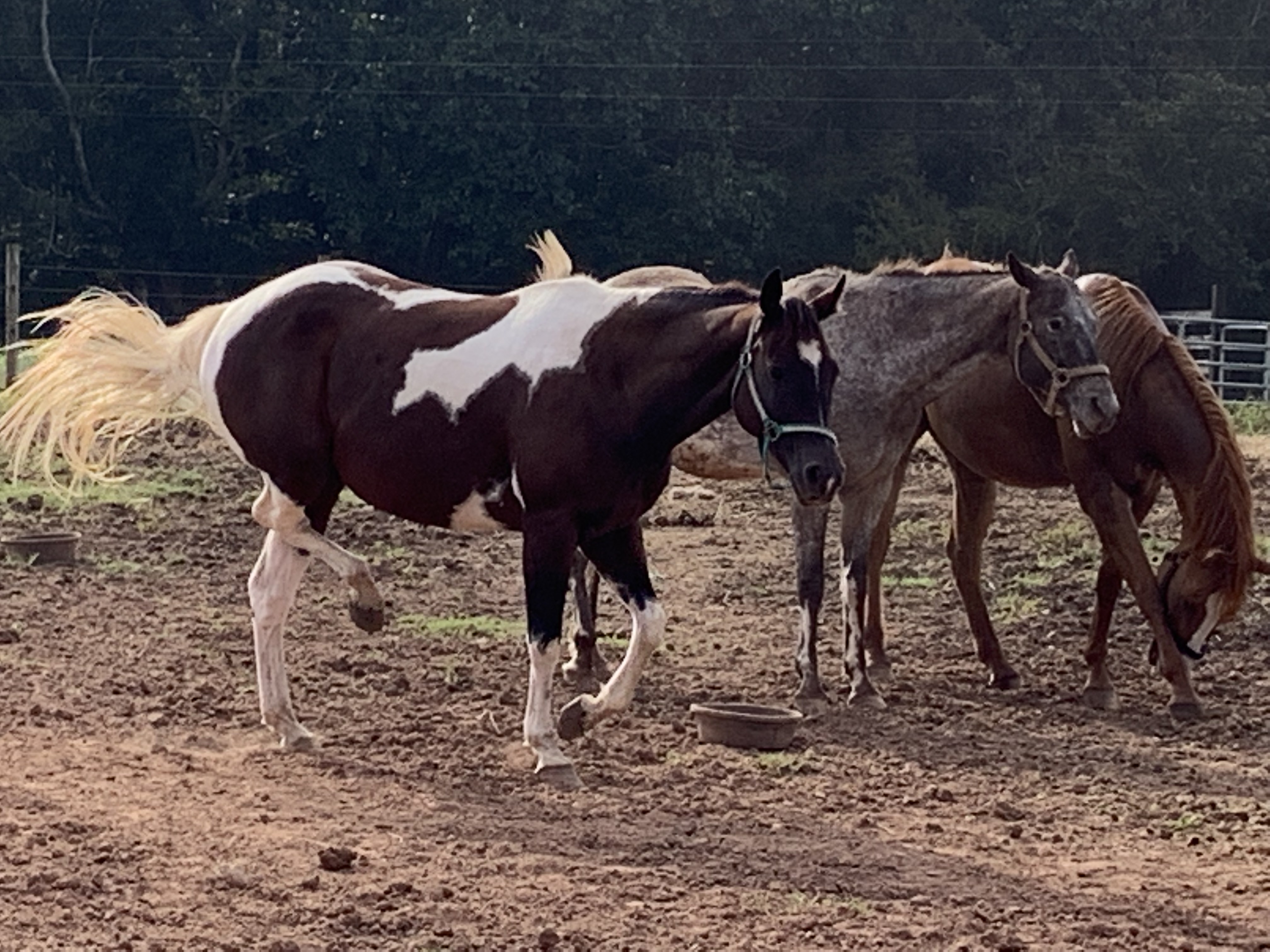 ./2021/07 - Southern Cross/IMG_5490.JPG